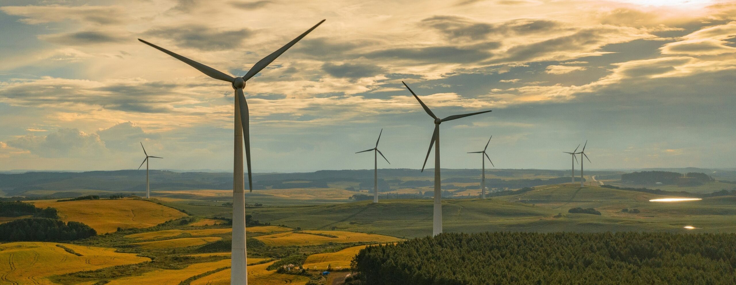 Digitale Resilienz & Nachhaltigkeit